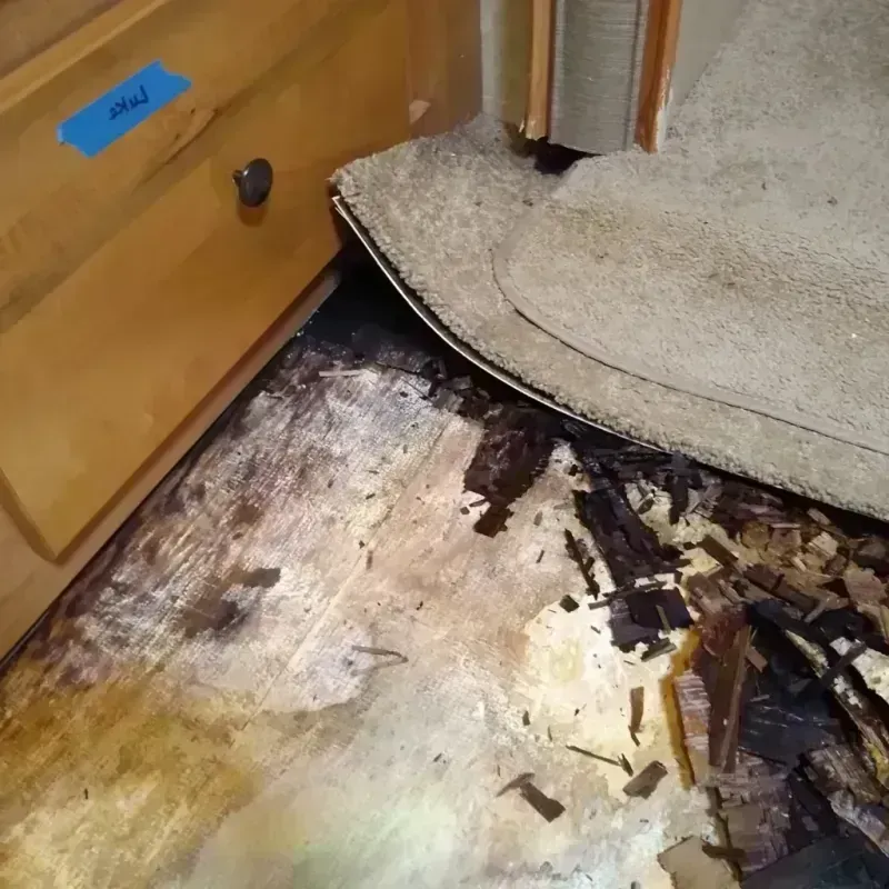 Wood Floor Water Damage in Beach, ND